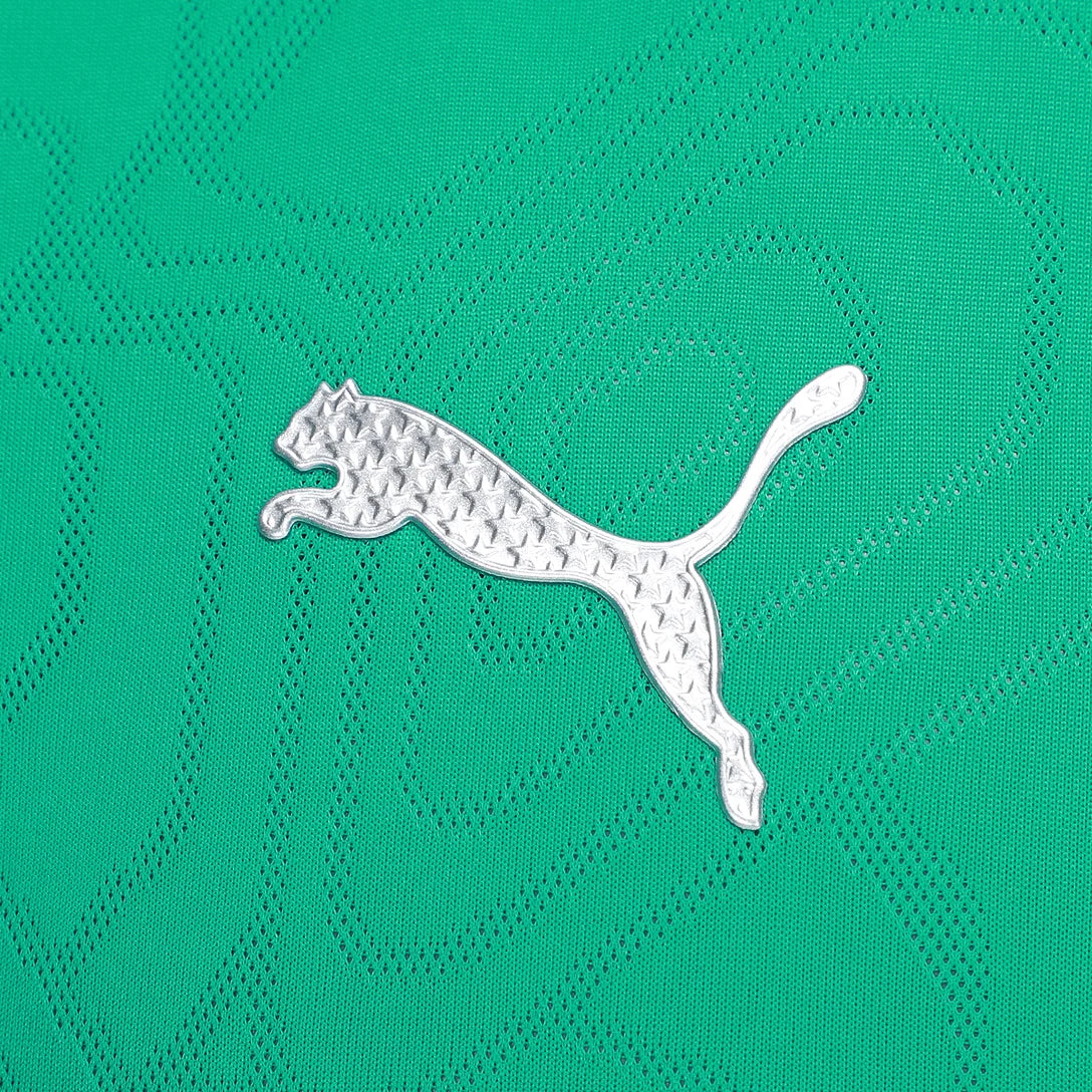 Camisa Palmeiras Treino 25/26 - Verde