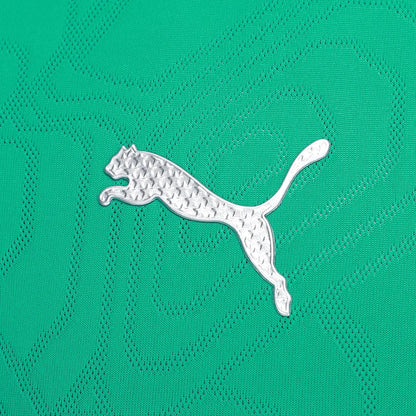 Camisa Palmeiras Treino 25/26 - Verde